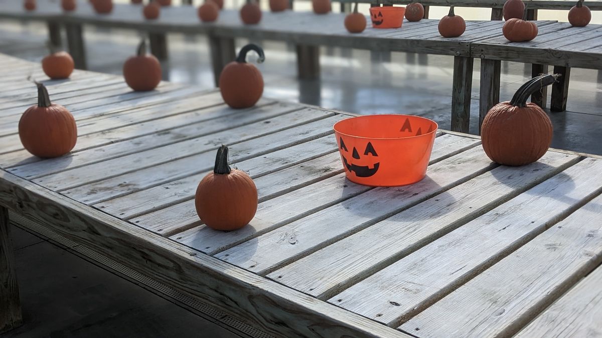 KID'S PUMPKIN PAINTING