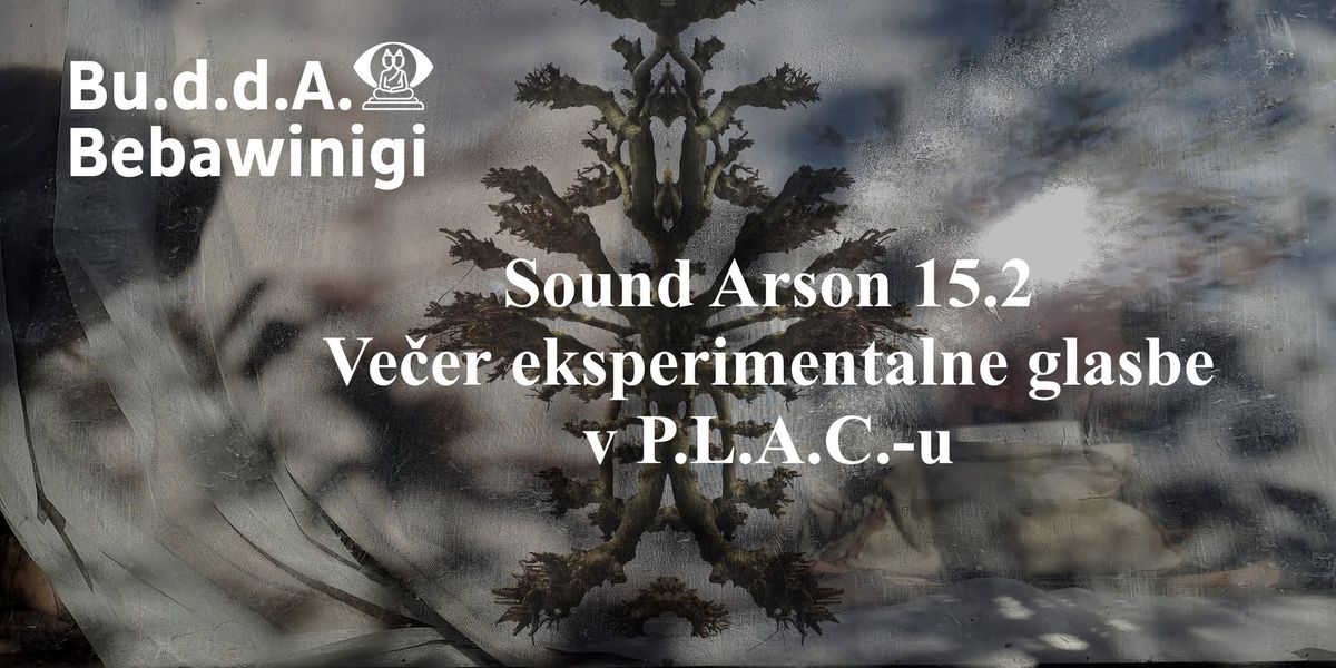 Sound Arson 15.2: Bu.d.d.A. (D\/Ch), Bebawinigi (I), s0n667