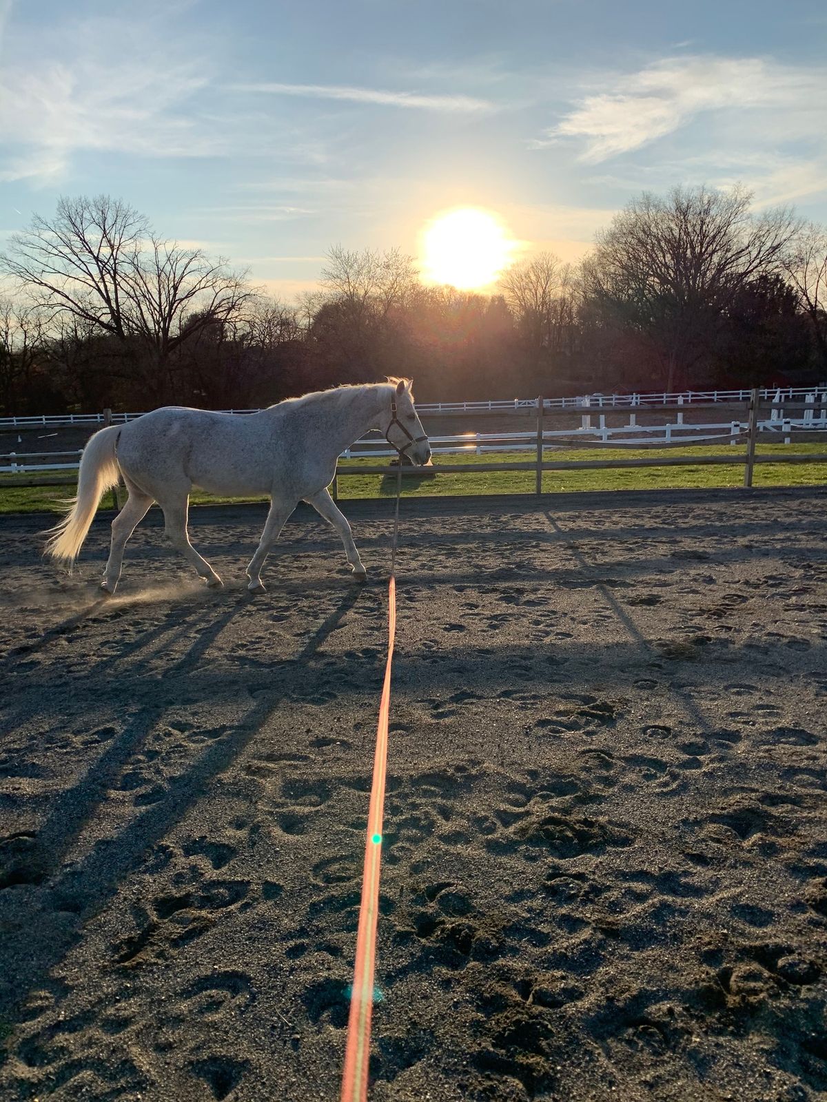 Dental and Lunging Clinic