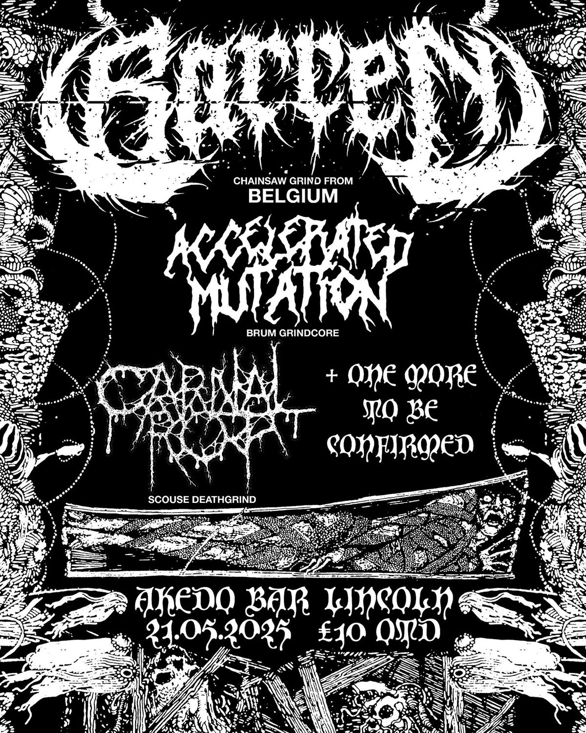 BARREN (Belgium), ACCELERATED MUTATION, CARNAL ROT, + more tba @ AKEDO