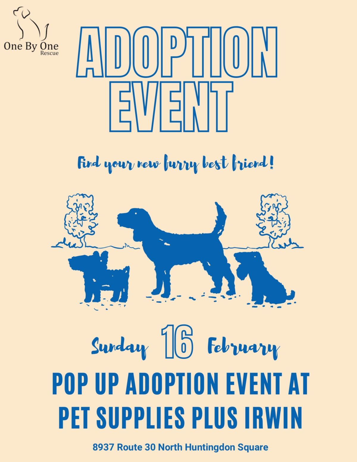 One By One Rescue and Pet Supplies Plus Adoption Event