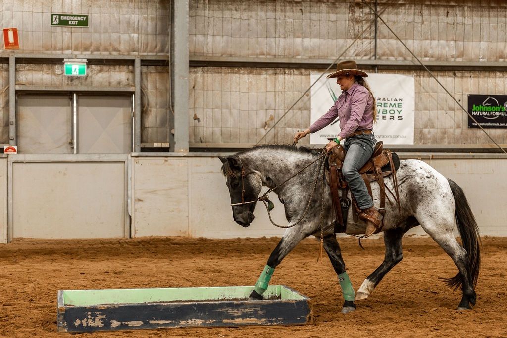 Horsemanship and Ranch clinic 