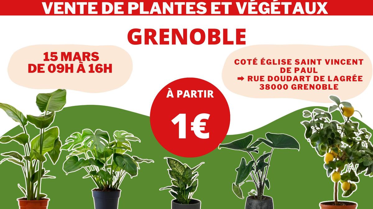 GRENOBLE - V\u00e9g\u00e9taux et Plantes \u00e0 partir de 1\u20ac by Plantes Addict