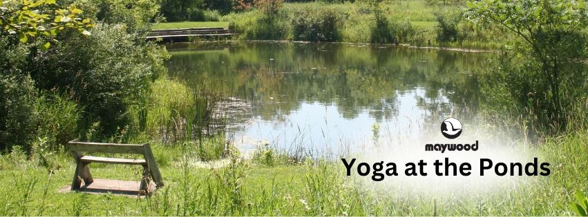 Yoga at the Pond