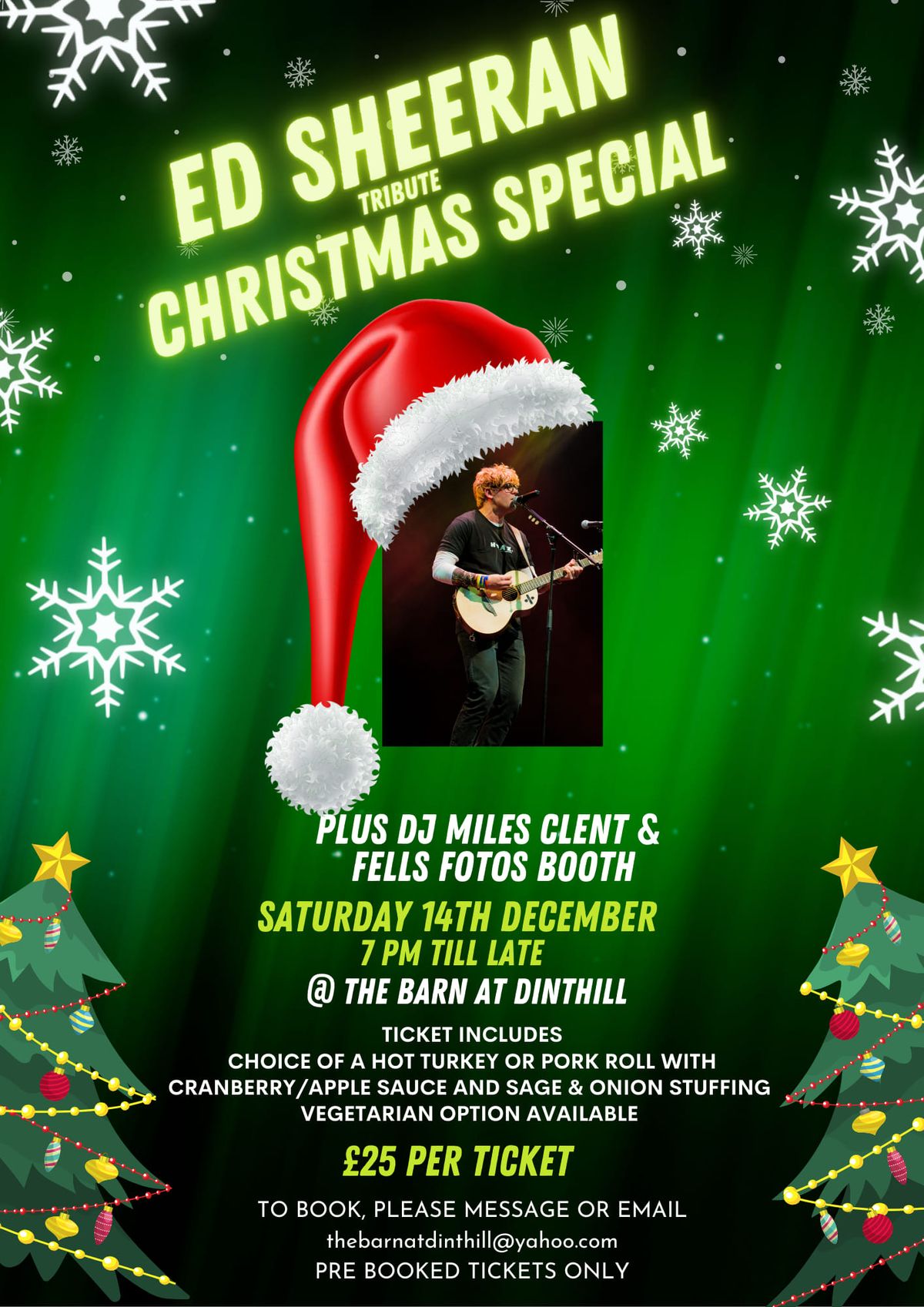 Ed Sheeran Tribute Christmas Party