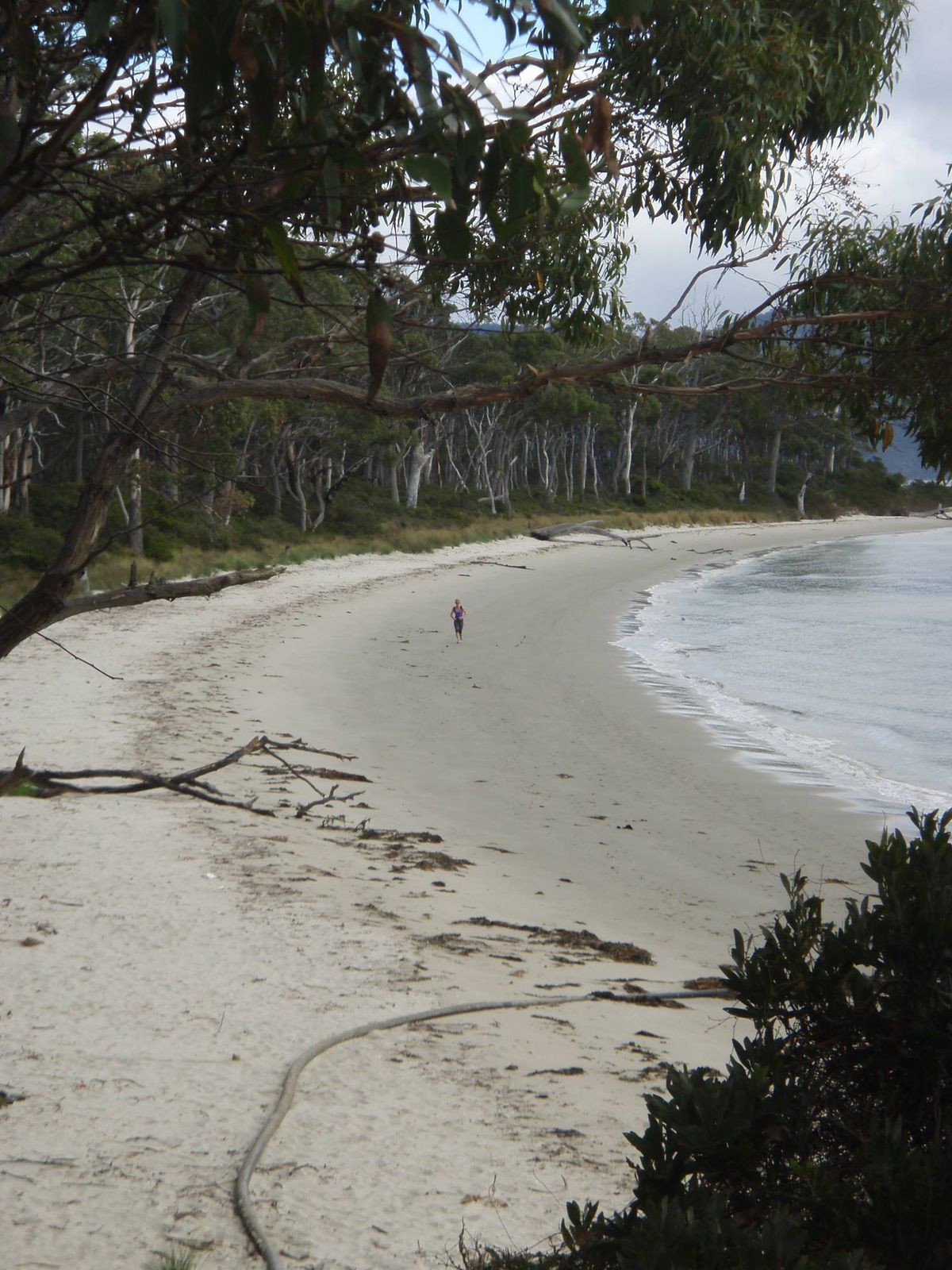 Bruny Island trail run