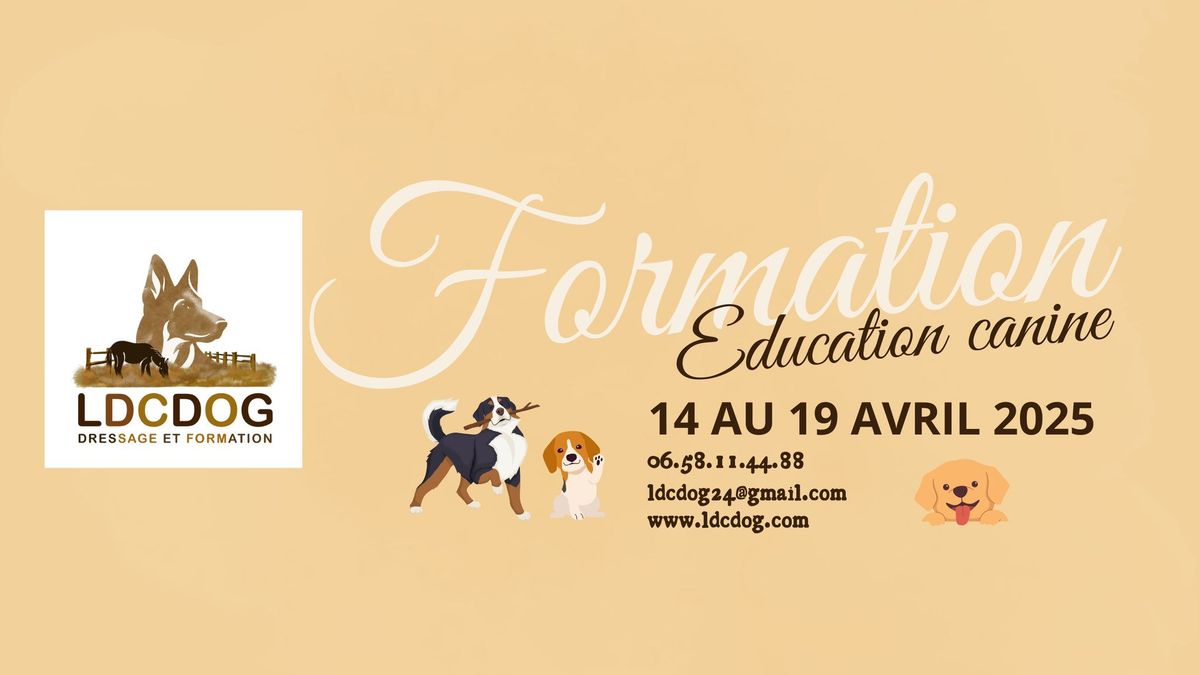 Formation Eduquer les chiens