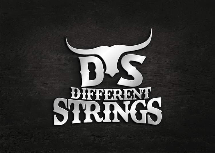 Different Strings at Pier 220 Nov 14 5-8 Solo