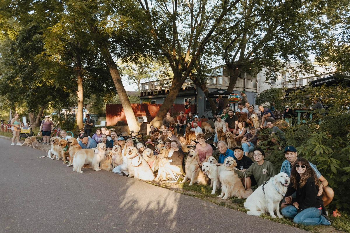 Madison Goldens October 2024 Meetup (costume contest)