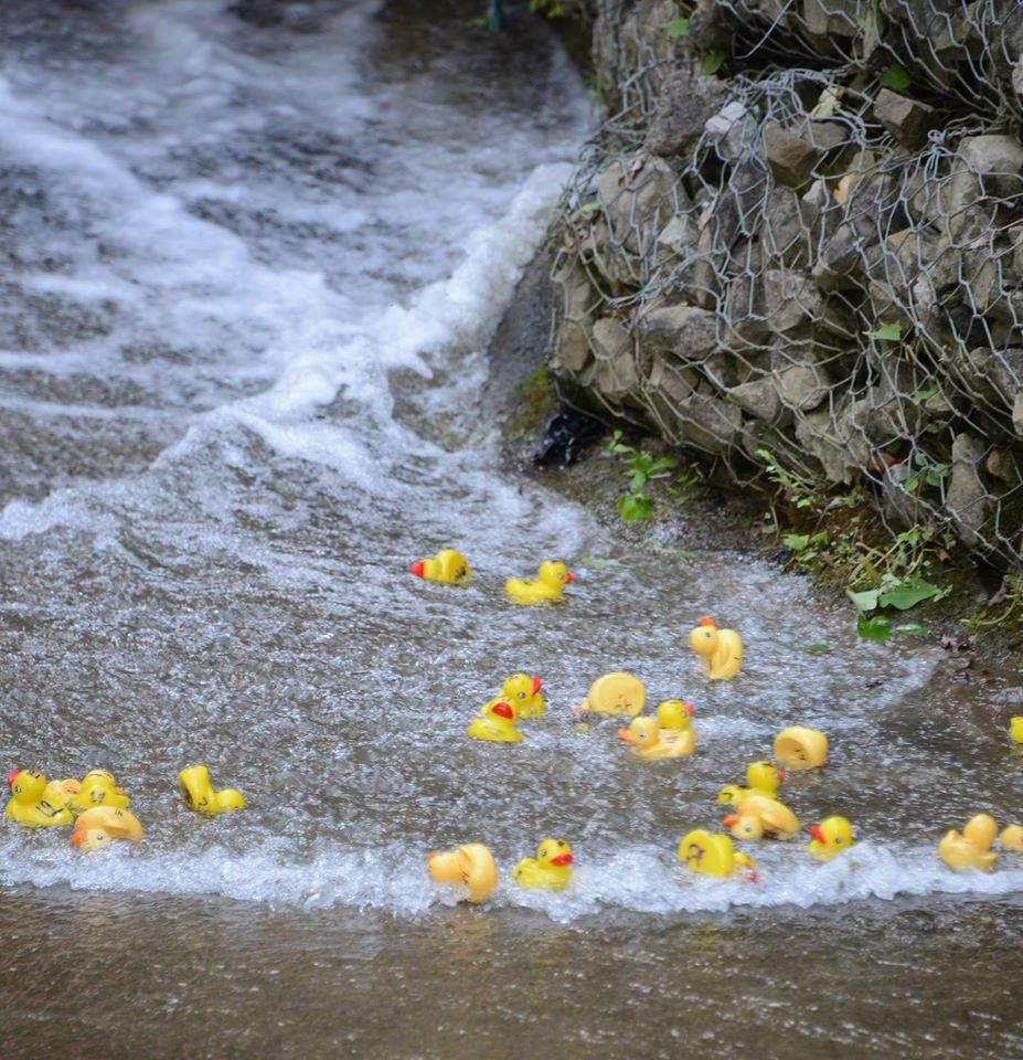 Annual Ducky Races in memory of Mary Grace Carmody