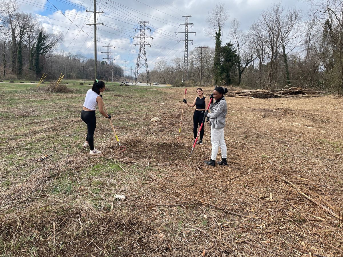 Pollinator Garden Exploration & Planting Preparation