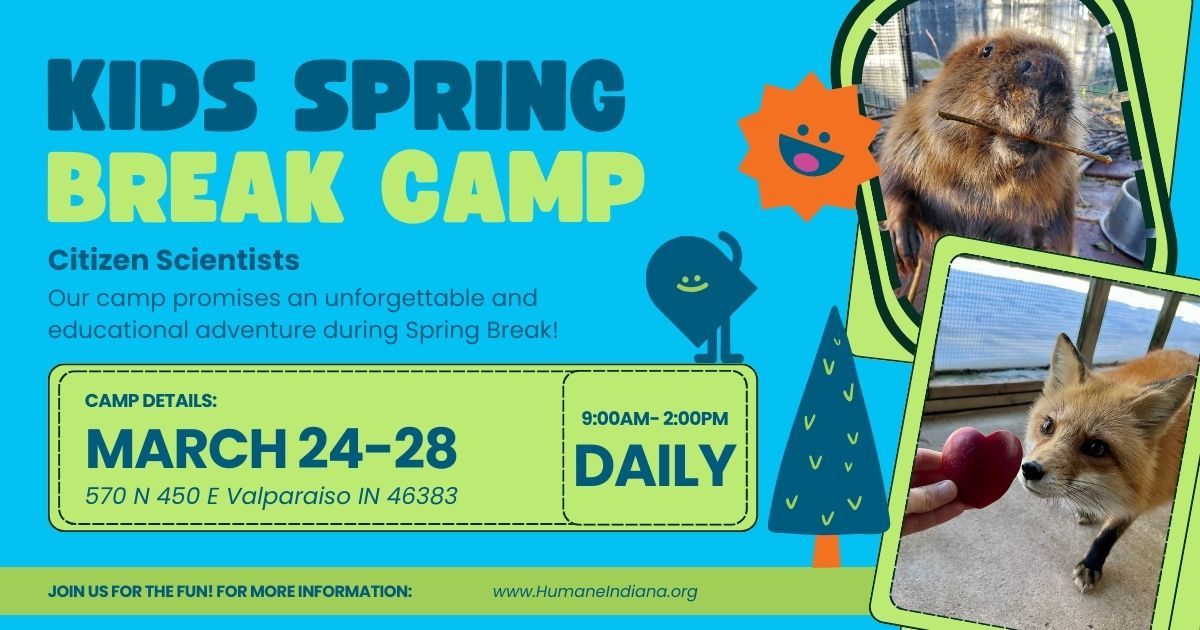 Kids Spring Break Camp