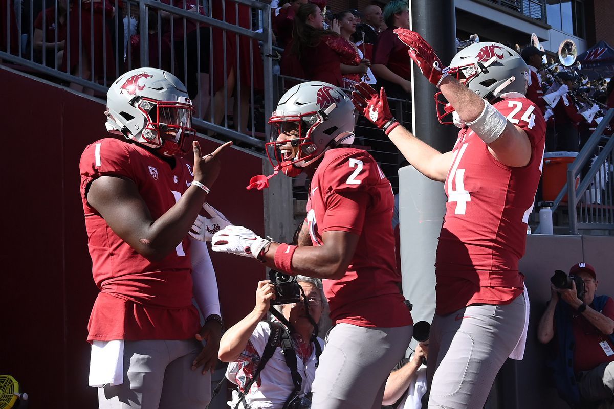 Arkansas Razorbacks vs. Washington State Cougars