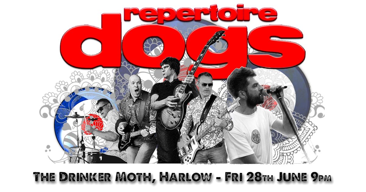 REPERTOIRE DOGS live @ The Drinker Moth, Harlow Town