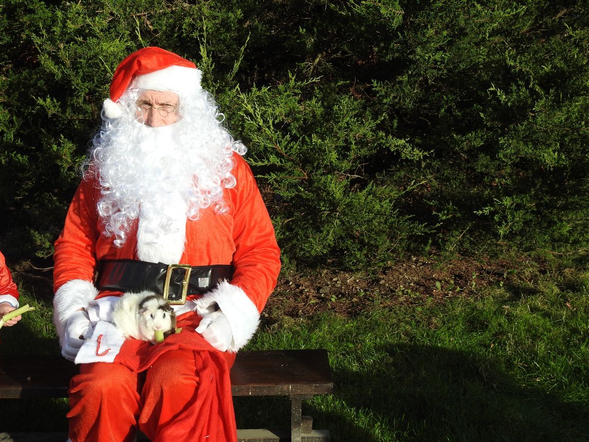 Brunch with Santa in the Festive Yurt