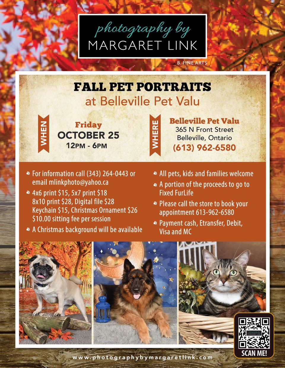 Fall Pet Portraits at Belleville Pet Valu Friday October 25 12- 6pm call store 613 962 6580  to book