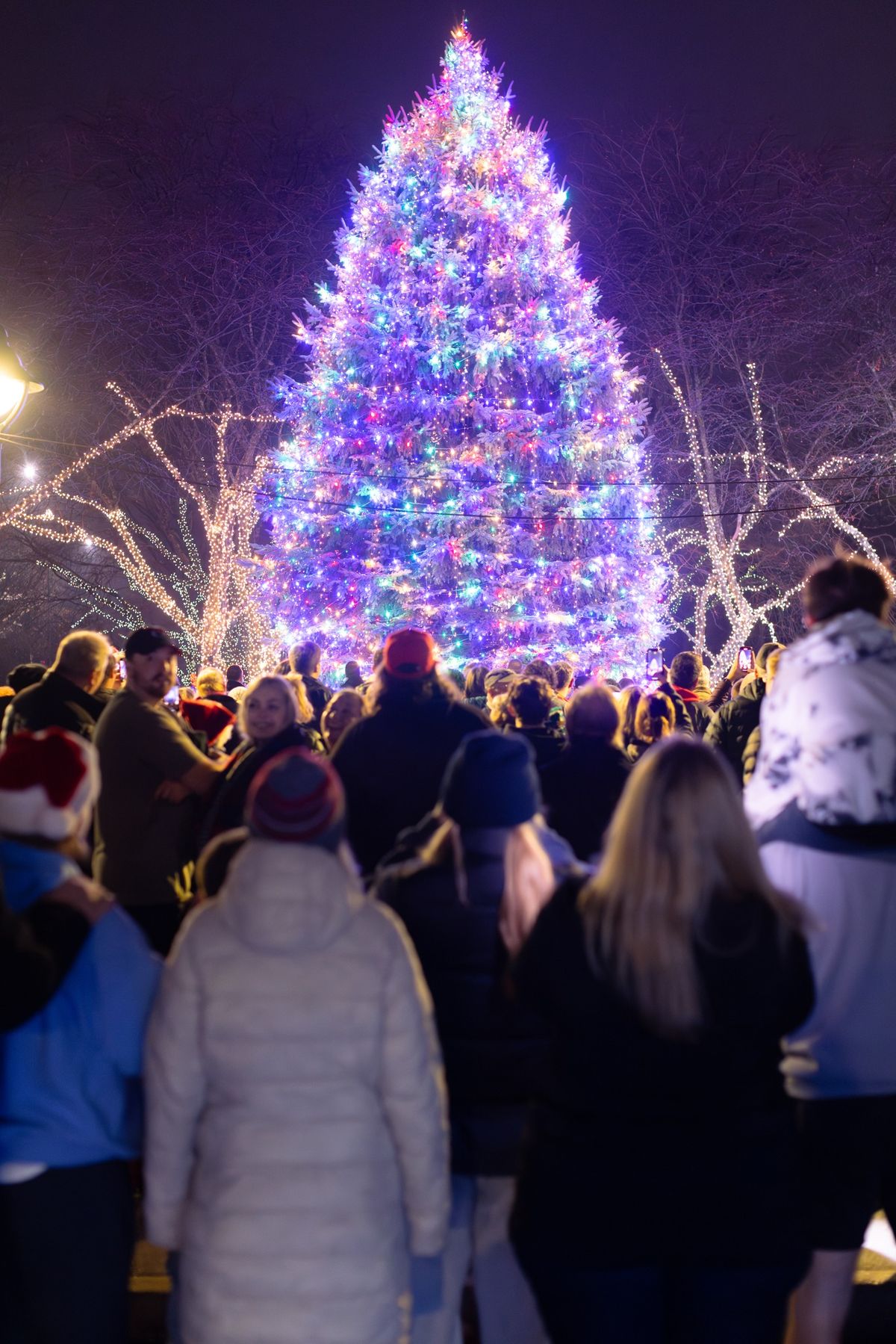 Mayor\u2019s Tree Lighting