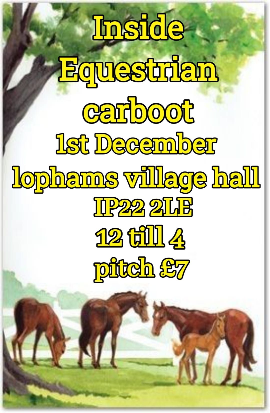 indoor equestrian carboot 