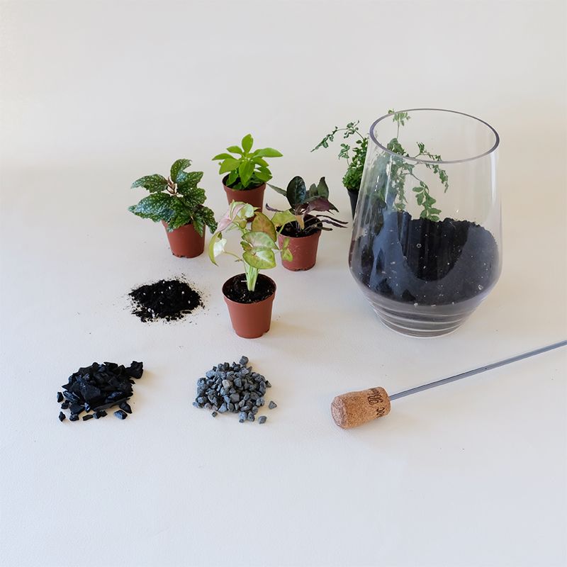 Terrarium Planting Workshop