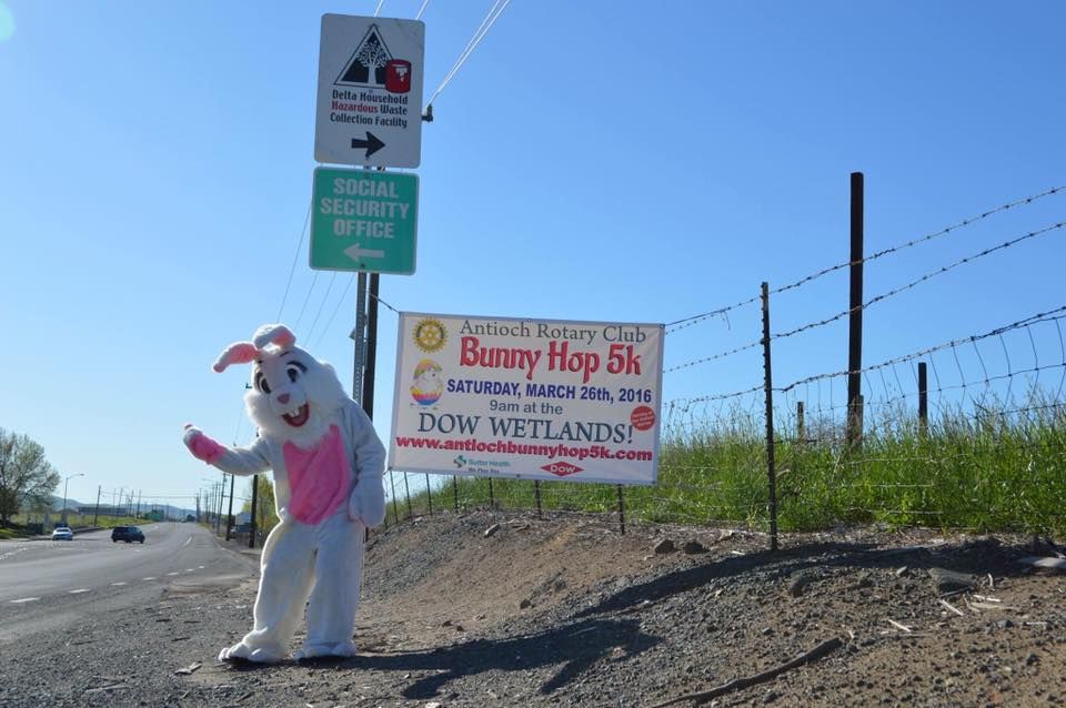 9th Antioch Rotary Club Bunny Hop 5K