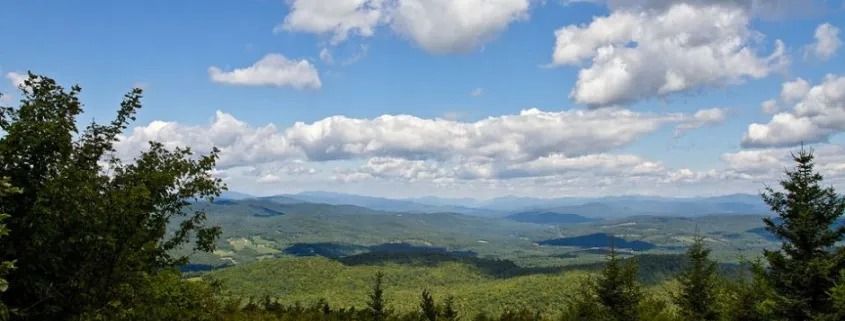 Wildlands & Woodlands: A Unified Vision for the Future of New England\u2019s Forests