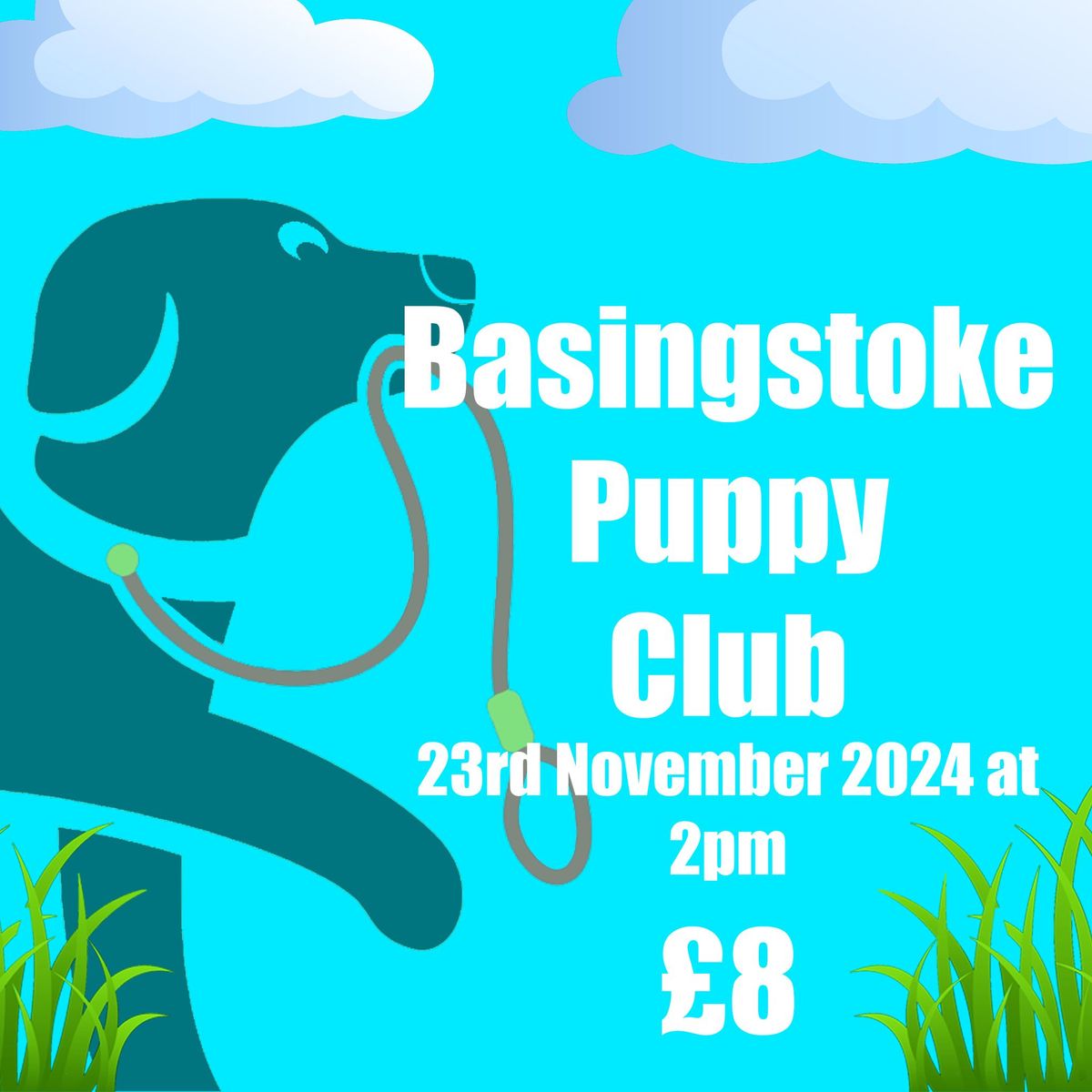 Basingstoke Puppy Club - 23rd November 2024