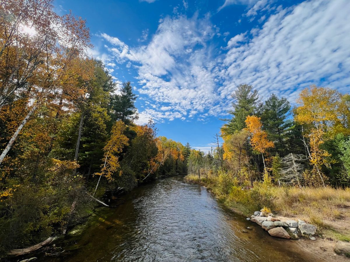 Wellness in the Woods Series: Natural Education Reserve