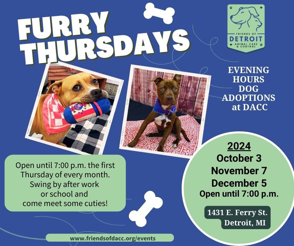 Furry Thursday - Evening Hours Dog Adoption Event