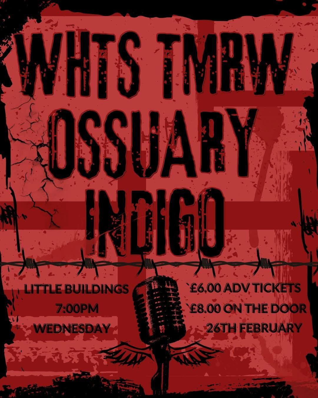 WHTS TMRW\/\/OSSUARY\/\/INDIGO