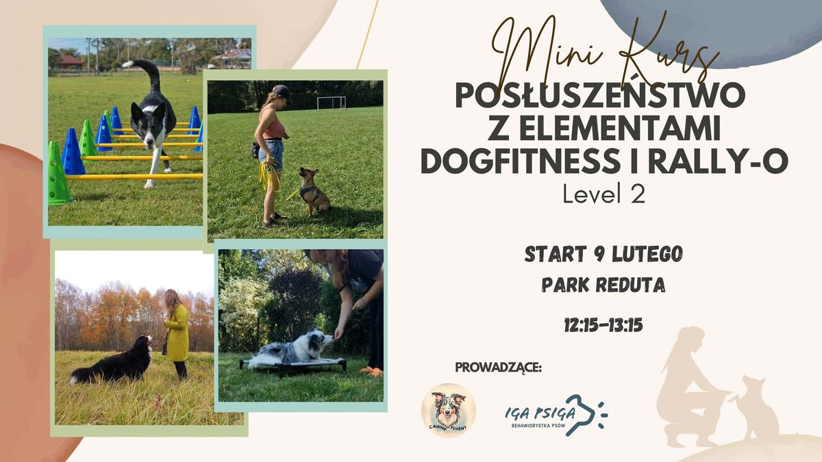 Kurs grupowy Level II - Pos\u0142usze\u0144stwo z elementami Dogfitness i Rally-O