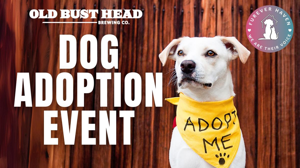 Dog Adoption Event w\/ Furever Haven