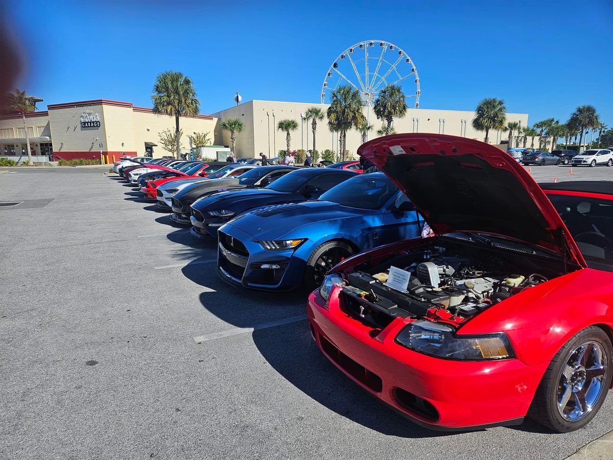 Mustangs On The Bayou