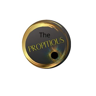 THE PROPITIOUS SPOT LLC