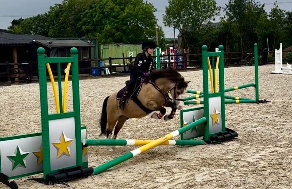 Valentines Show Jumping