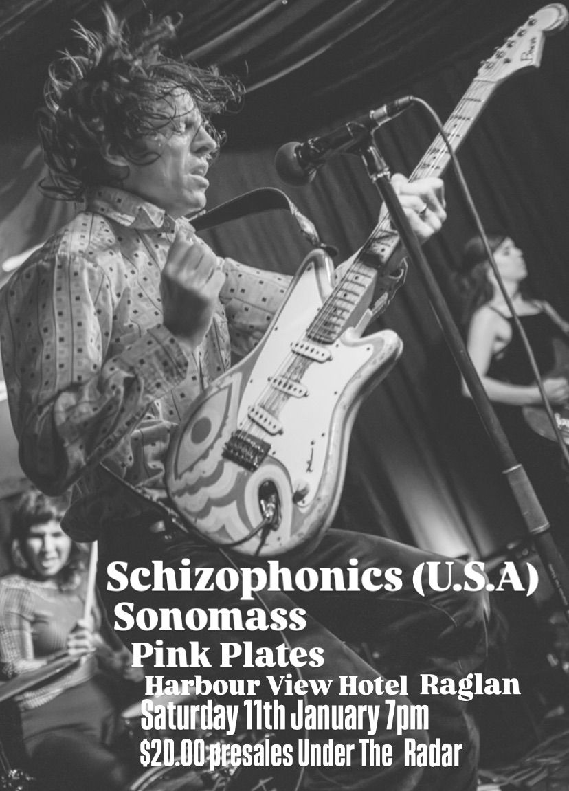 Schizophonics, Sonomass, Pink Plates