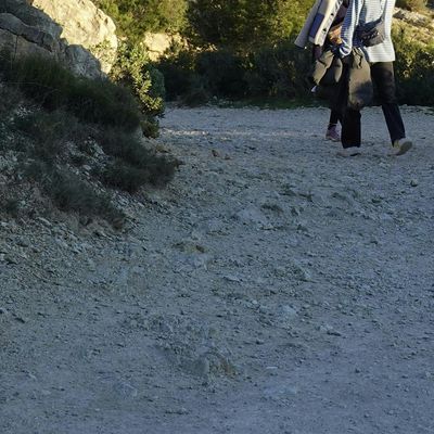 Un Groupe Qui Marche