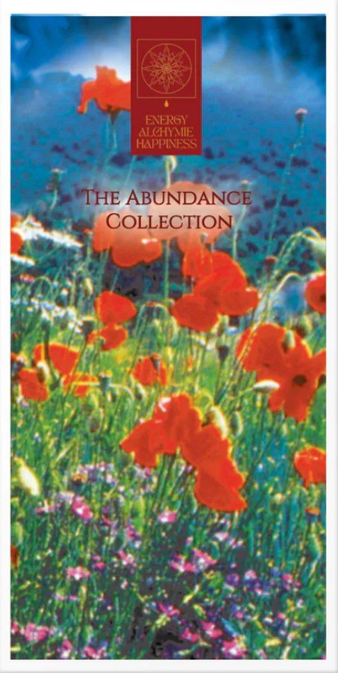 Abundance Workshop