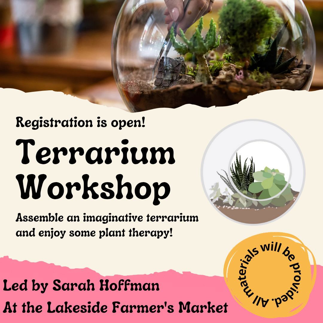 Terrarium Workshop