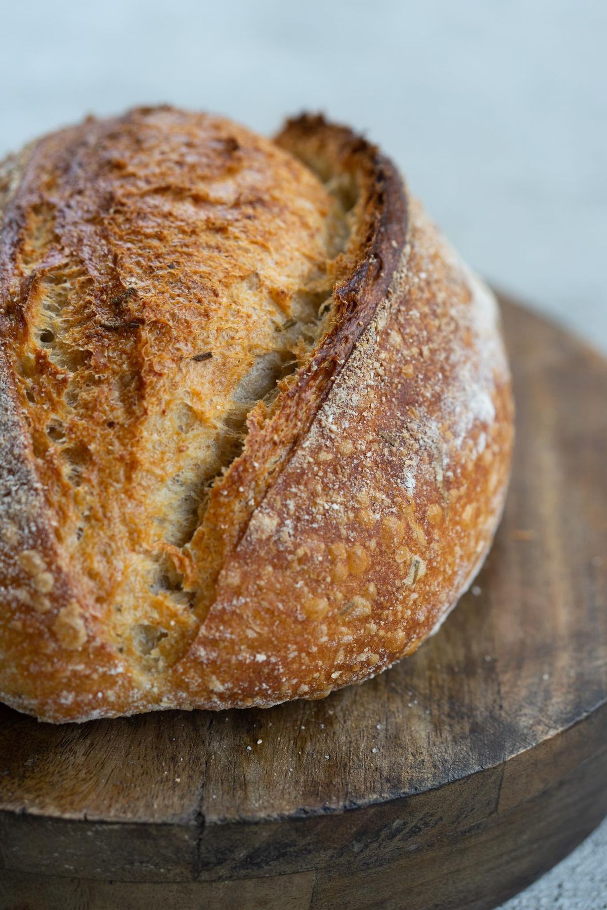 Sourdough Workshop