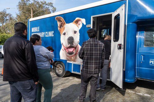 Low-Cost Vaccine Clinic