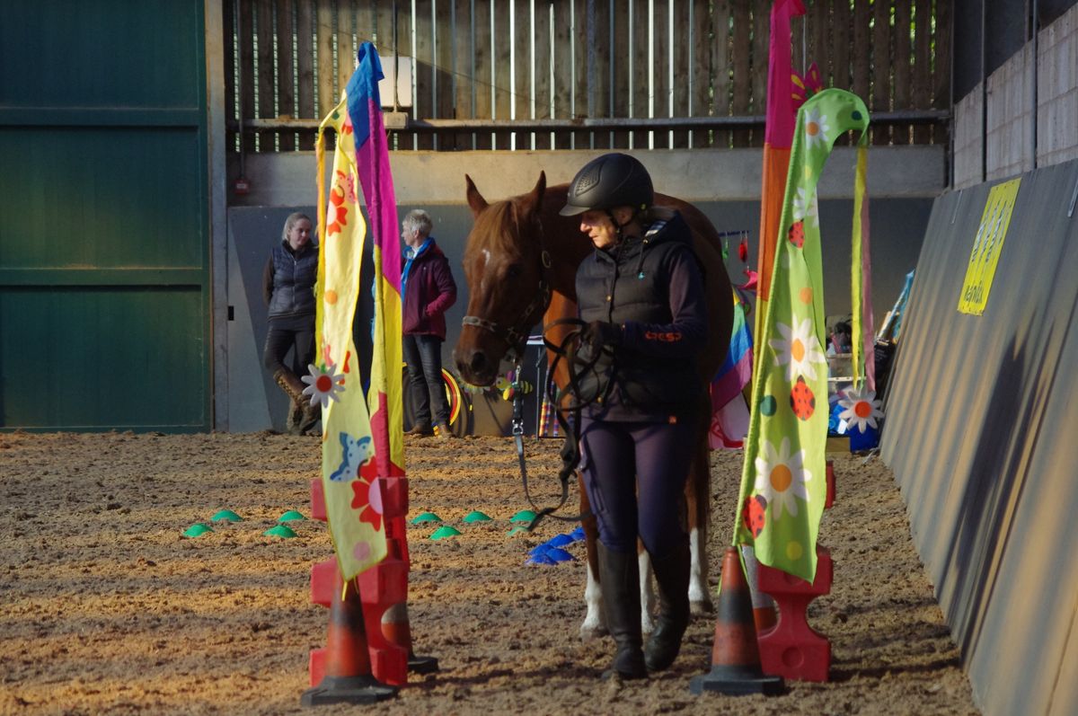 Horse Agility Penny Farm Blackpool