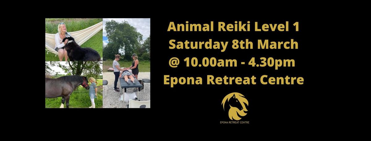 Animal Reiki Level 1 