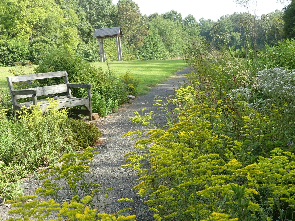 Native Meadows:  Possibilities and Pitfalls