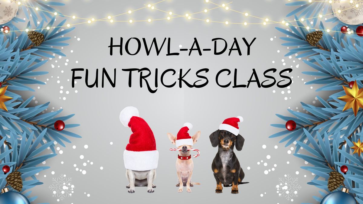 Howl-a-Day Fun Tricks Class