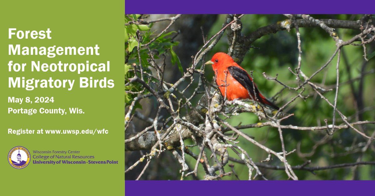Forest Management for Neotropical Migratory Birds