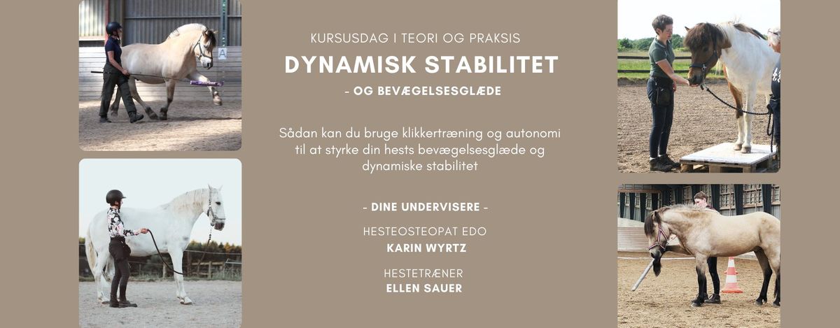 Kursus i Dynamisk Stabilitet v\/ Karin Wyrtz & Ellen Sauer