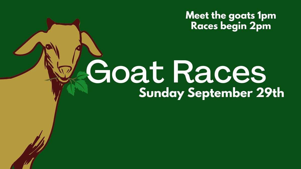 Goat Races