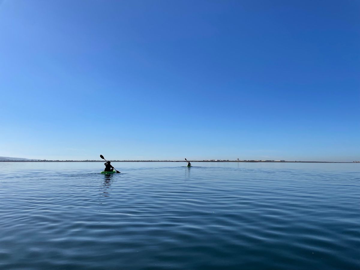 Wildlife Kayaking Eco Tour