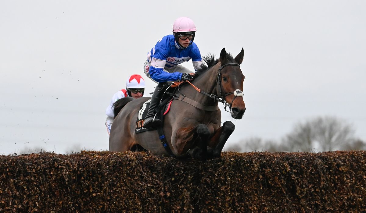 TrustATrader Peterborough Chase Raceday