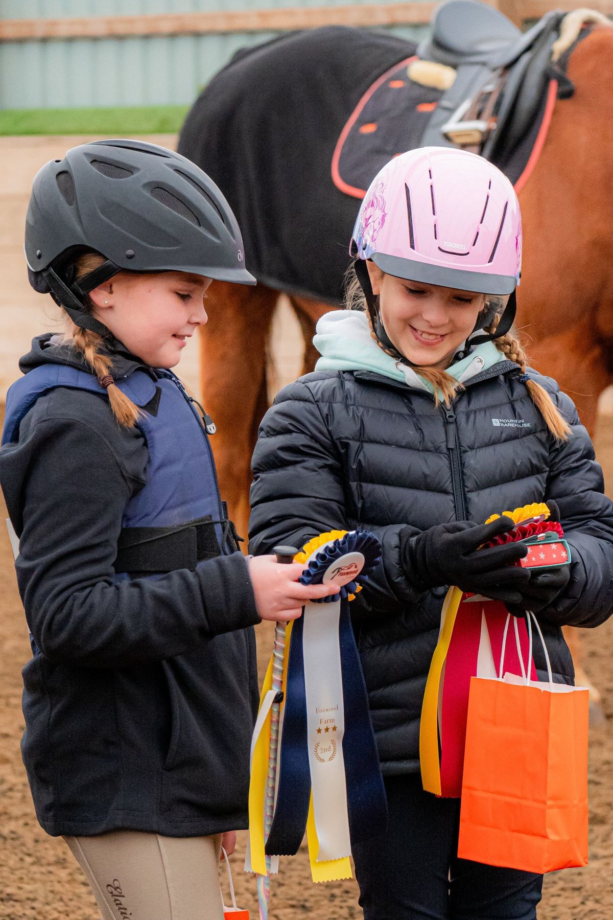 Festive at Foxwood Horse Show 